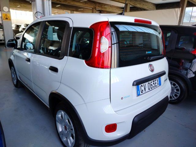 FIAT Panda 1.0 FireFly S&S Hybrid km 2.000