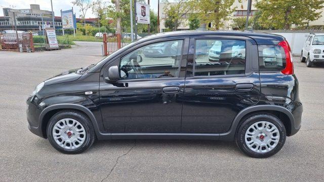 FIAT Panda 1.0 FireFly S&S Hybrid PERMUTE UNICOPROPR.