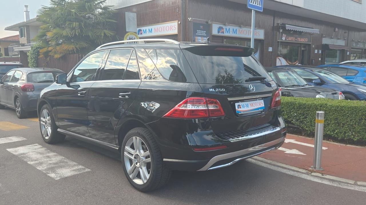 Mercedes-benz ML 250 350 BlueTEC 4Matic Sport