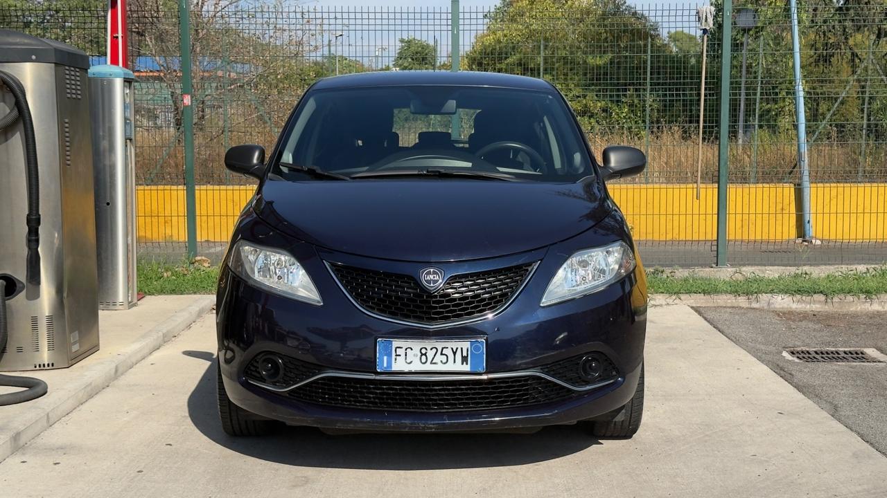Lancia Ypsilon 1.2 69 CV 5 porte Platinum