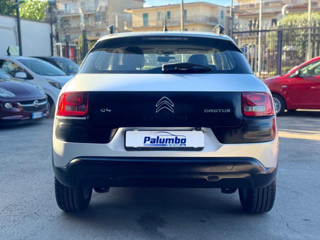 CITROEN C4 Cactus BlueHDi 100 S&S ETG6 Shine CAMBIO AUTOMATICO