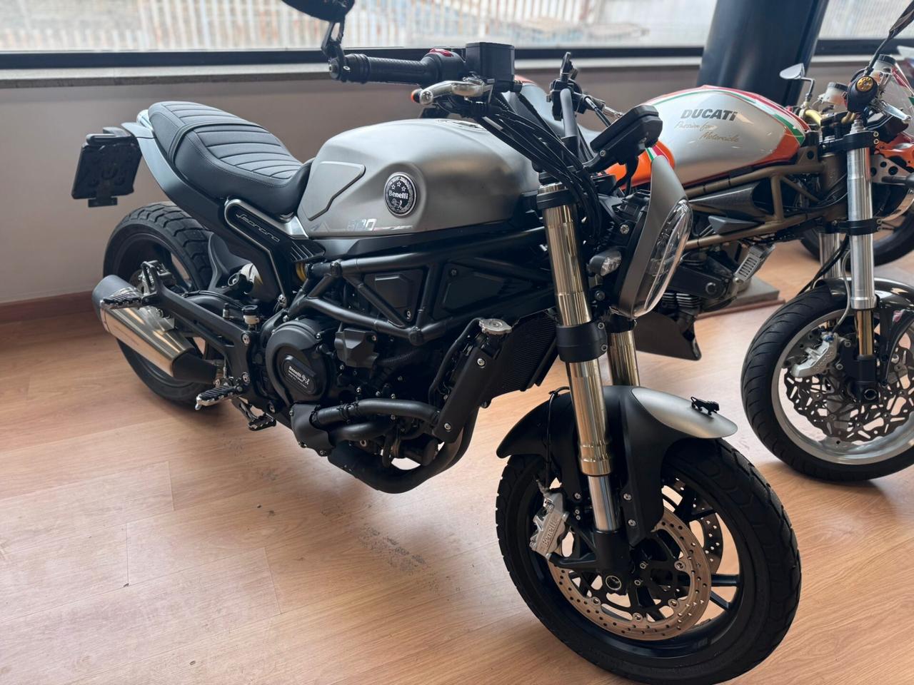 Benelli Leoncino 800