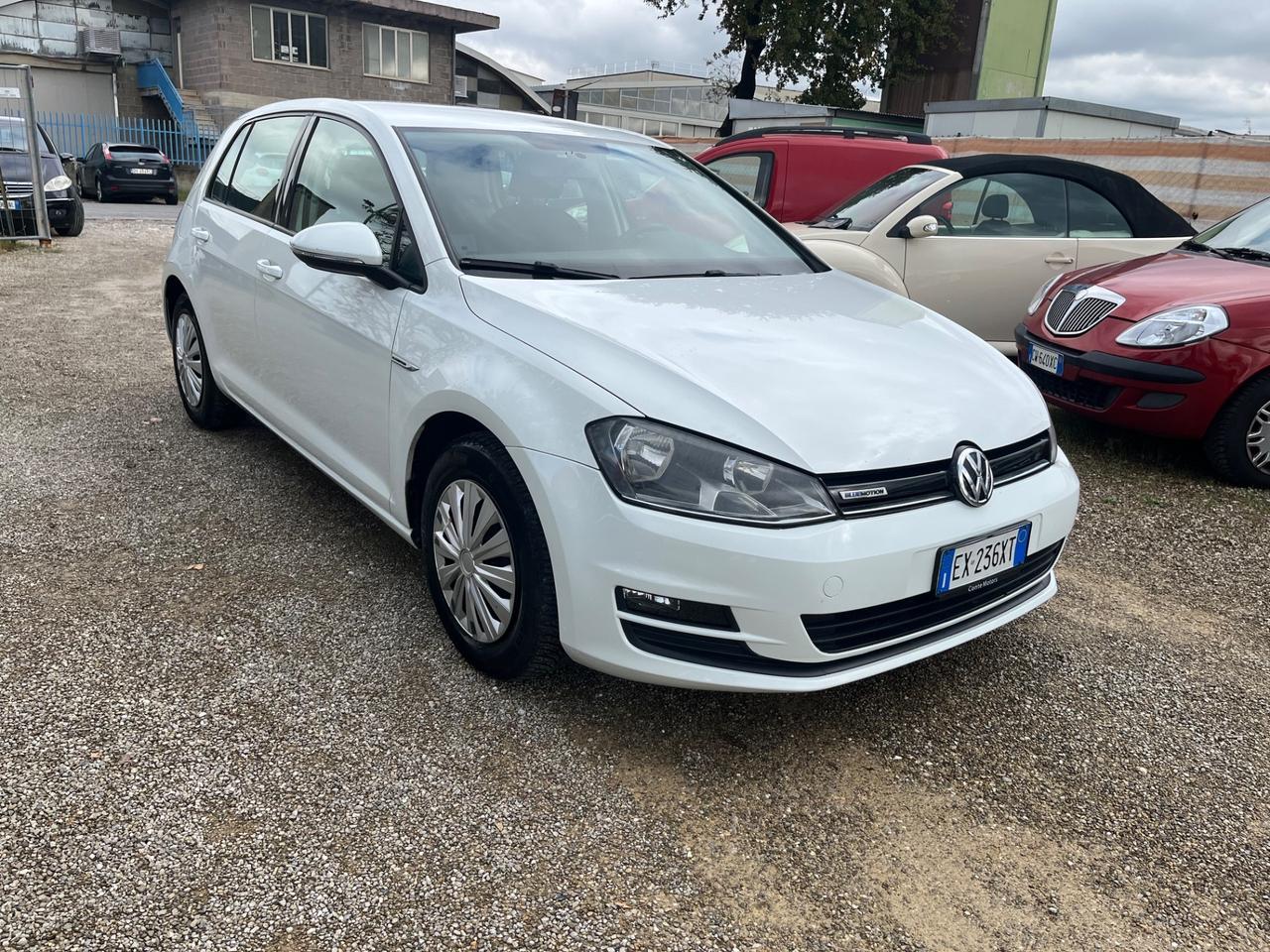 Volkswagen Golf Business 1.4 TGI 5p. Comfortline BlueMotion