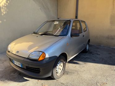 Fiat Seicento 900i cat Young
