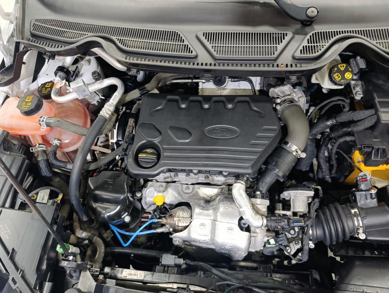 Ford EcoSport 1.5 Ecoblue 100 CV Start&Stop Plus