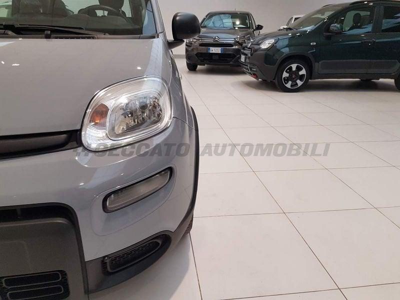 FIAT Panda Panda 1.0 firefly hybrid City Life s&s 70cv 5p.ti