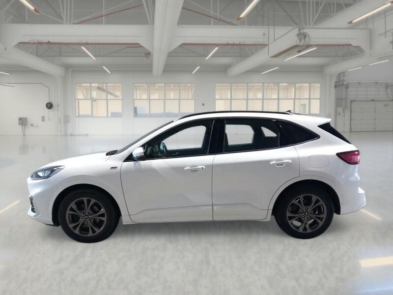 Ford Kuga 1.5 EcoBlue 120 CV 2WD ST-Line