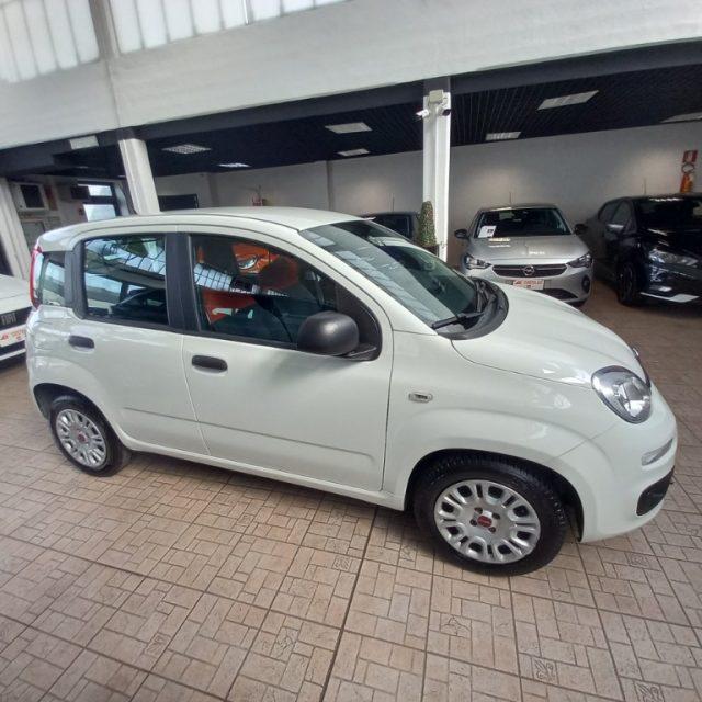 FIAT Panda 1.0 GSE S&S Hybrid Easy Van 4 posti
