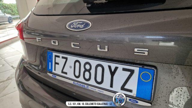 FORD Focus 1.5 EcoBlue 120 CV 5p. Business