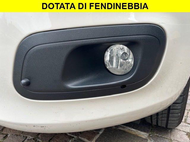 FIAT Panda 1.2 5 Posti Neopatentati