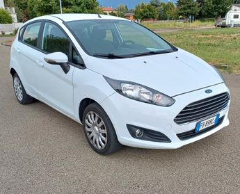 Ford Fiesta 1.4 5 porte Bz.- GPL Black & White Edition