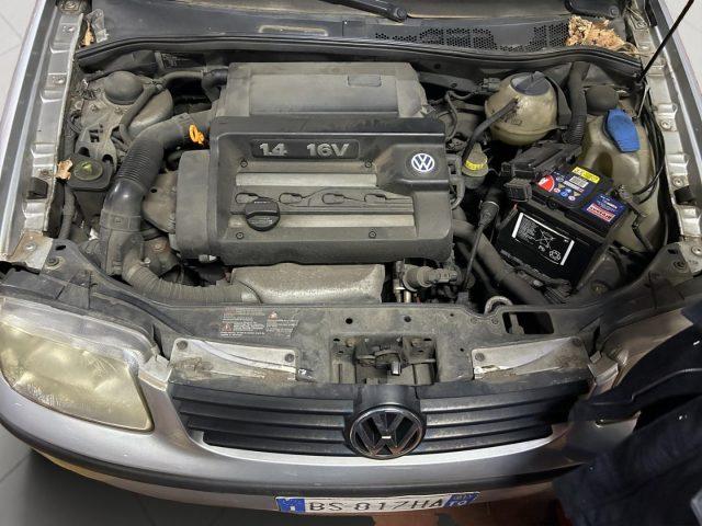 VOLKSWAGEN Polo 1.4 16V cat 5p. Highline