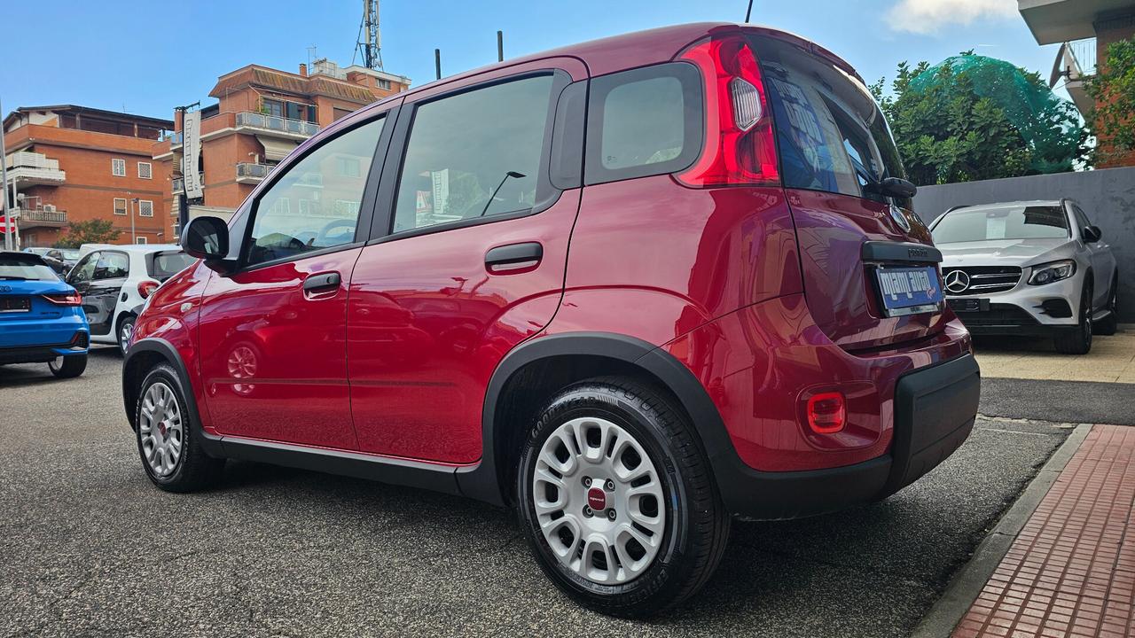 Fiat Panda 1.0 FireFly S&S Hybrid UNIPRO TAGL UFF NEOPAT OK