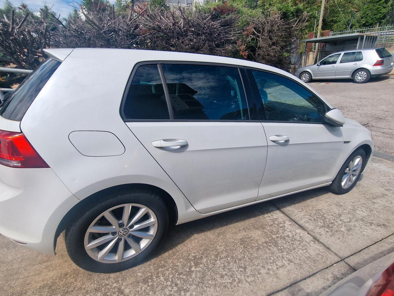 Volkswagen Golf Business 1.6 TDI 5p. Highline BlueMotion Technology