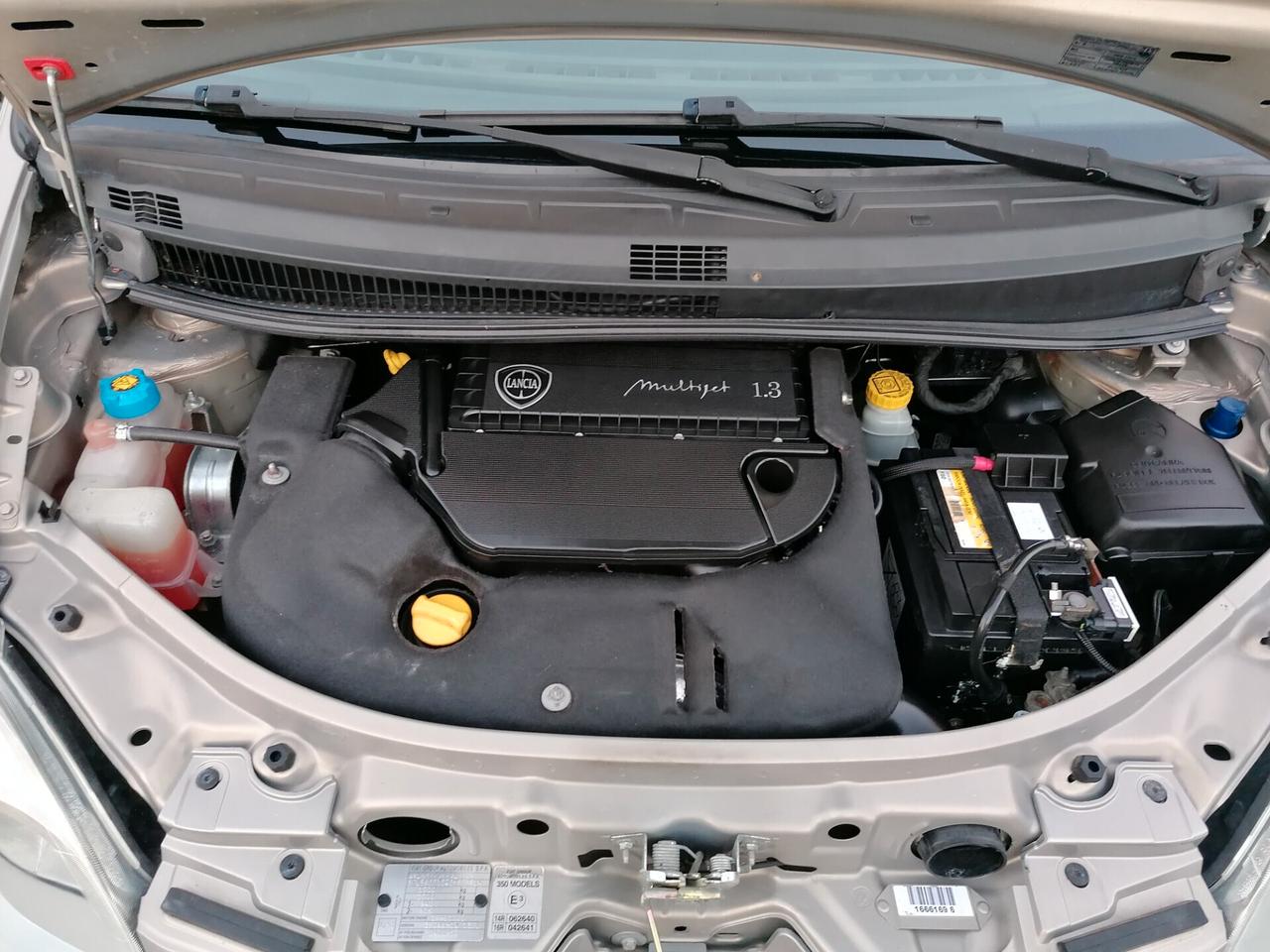 Lancia MUSA 1.3 Mjt 16V 95 CV S&S DPF Platino