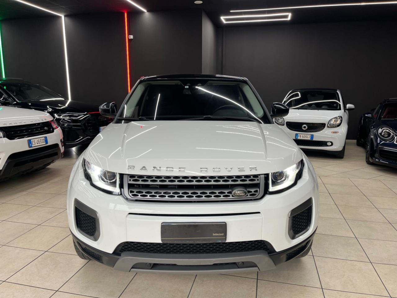 Land Rover Evoque 2.0 eD4 5p. SE 150CV 2017