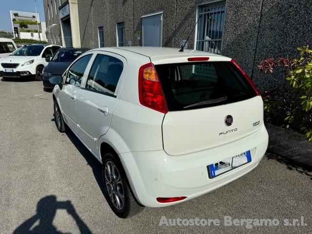 FIAT Punto 1.4 8V 5 porte Natural Power Lounge"FULL OPTIONAL"