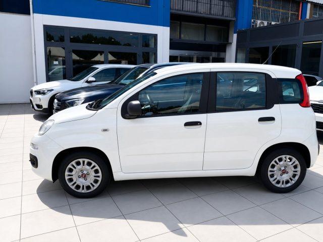 FIAT Panda Hybrid 1.0 S&S 69 Cv Neo Patentati