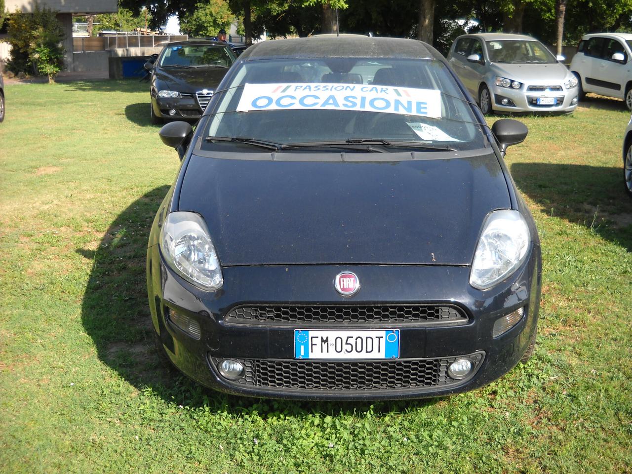 Fiat Punto 1.2 8V 5 porte Street