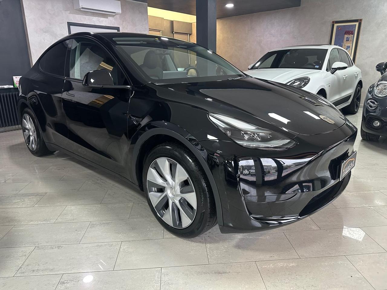 Tesla Model Y STANDARD RANGE SINGLE MOTOR RW #8363