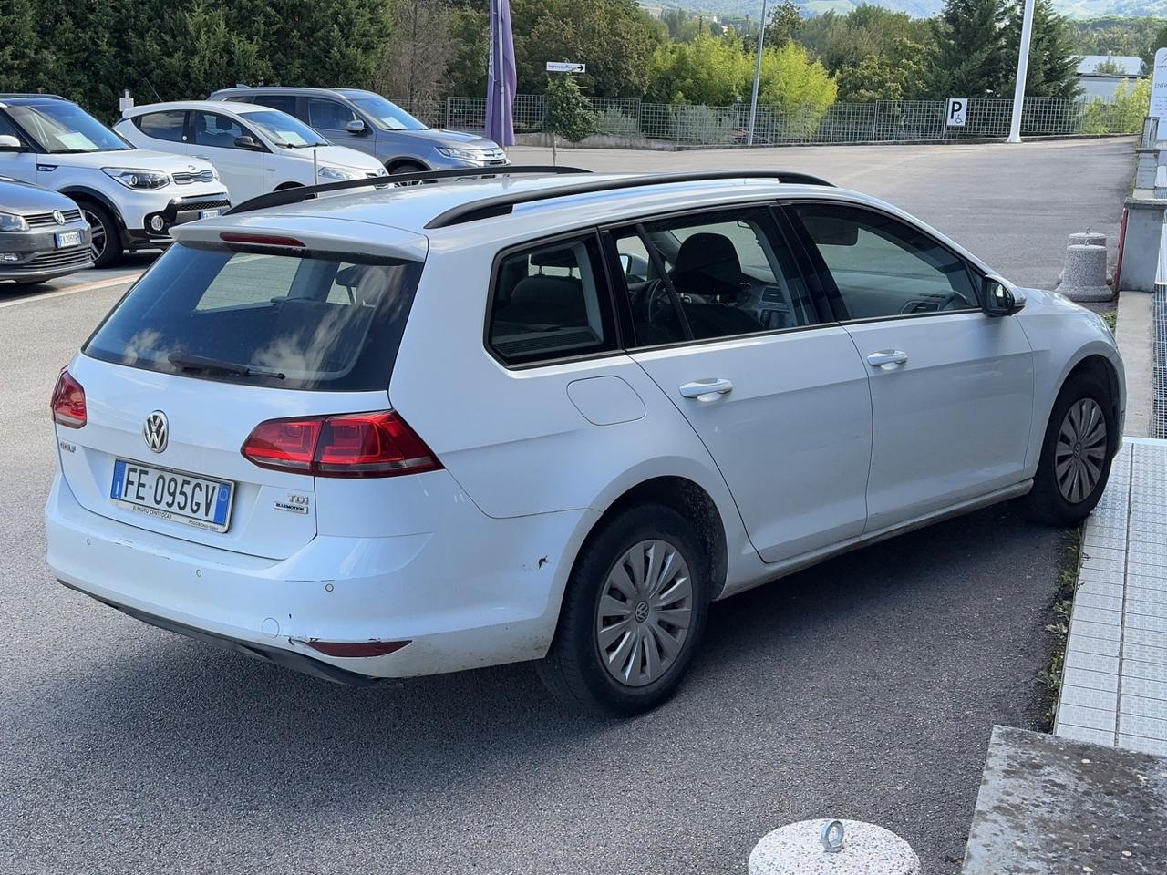 Volkswagen Golf Variant Golf Variant 1.6 TDI 110 CV Comfortline BlueMotion Tech.