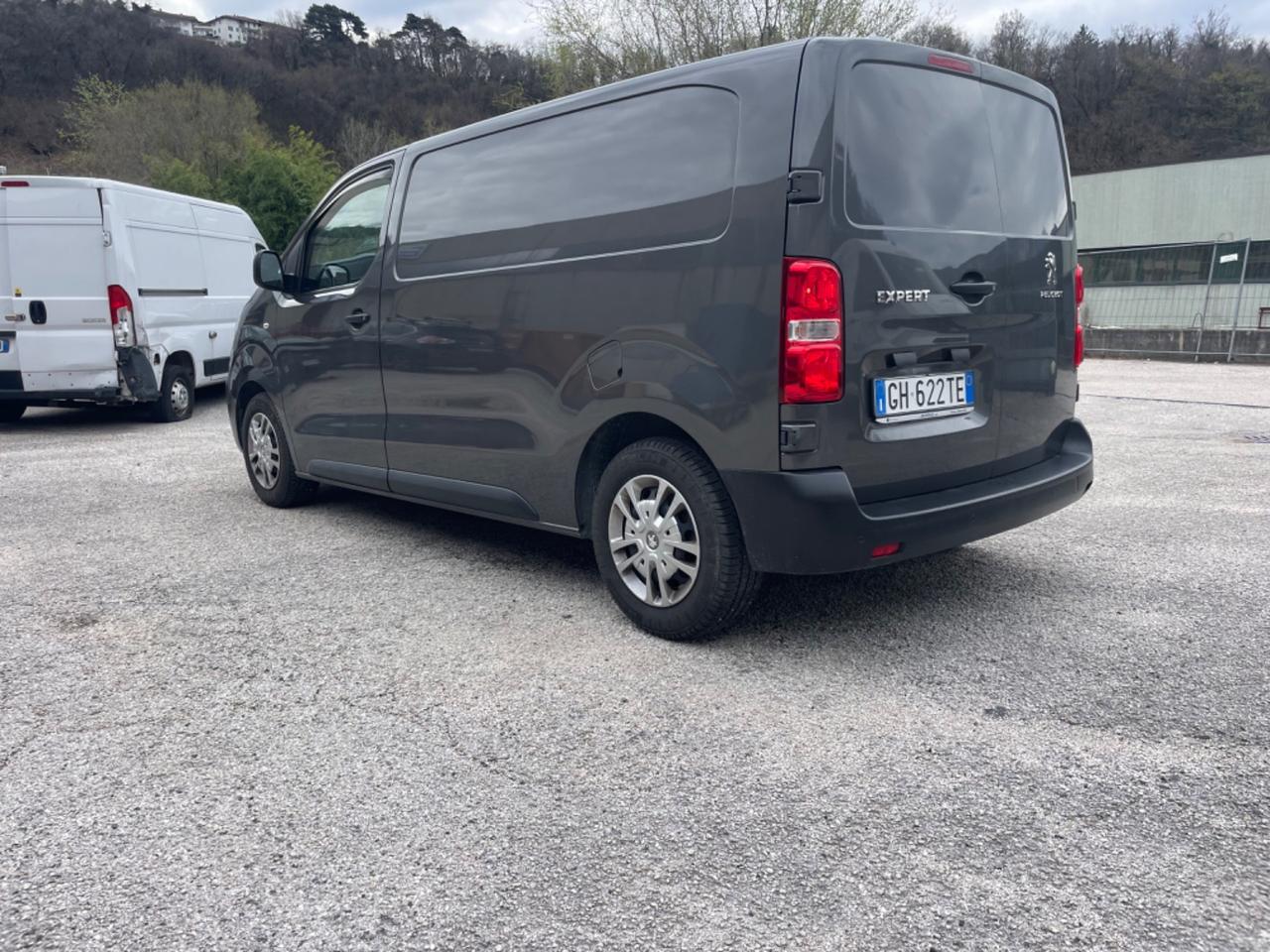 Peugeot EXPERT BLUEHDI 120 SES PL-TN FURGONE PREMIUM STANDARD (88 KW)