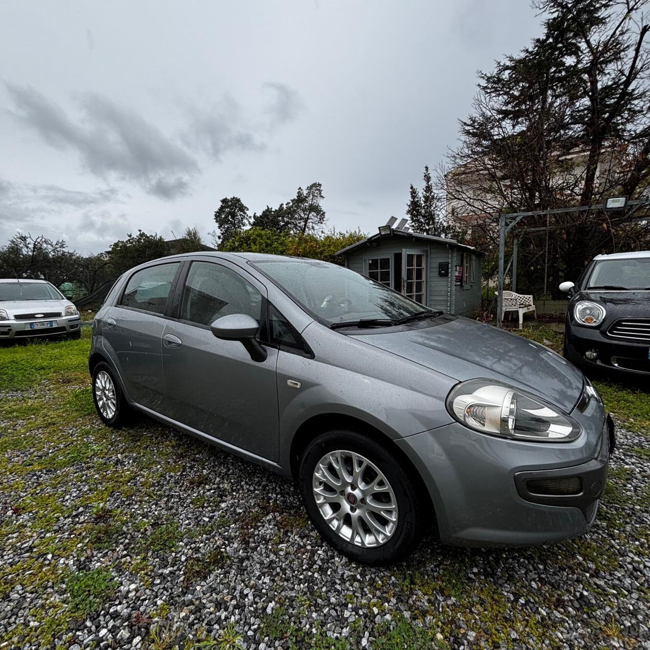 Fiat Punto Evo 1.2 5 porte S&S Active