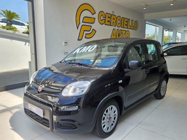 FIAT Panda 1.0 FireFly S&S Hybrid tua da ?139,00 mensili