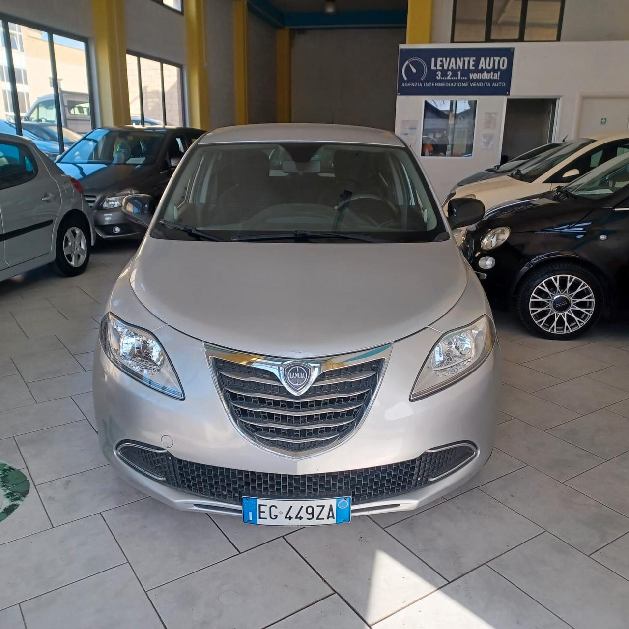 DISTRIBUZIONE FATTA NEOPATENTATI YPSILON 1.2