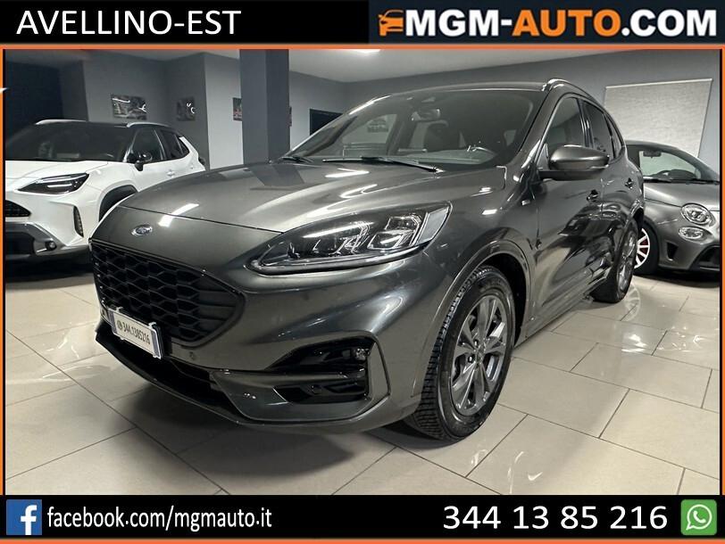 Ford Kuga 1.5 EcoBlue 120 CV aut. 2WD ST-Line X