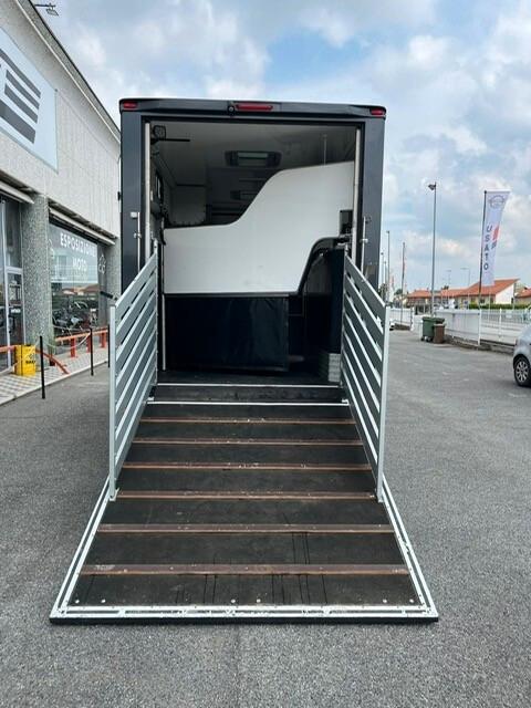 Mercedes-benz Sprinter F43/35 319 CDI RWD TA TRASPORTO CAVALLI 3 POSTI + CUCCIETTA