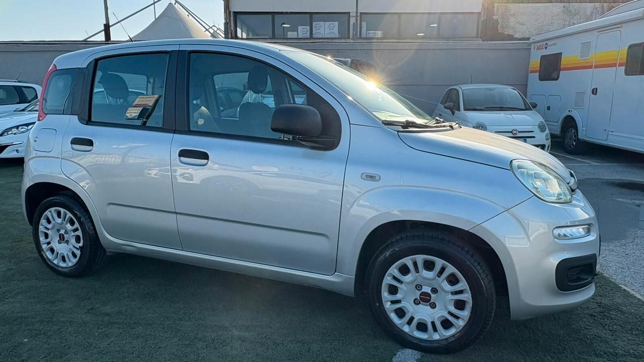 Fiat Panda 1.2 312PXA1A | BENZINA|169A4000 CC 1242 CV 69 KW 51 BERLINA, 5 P. (92816