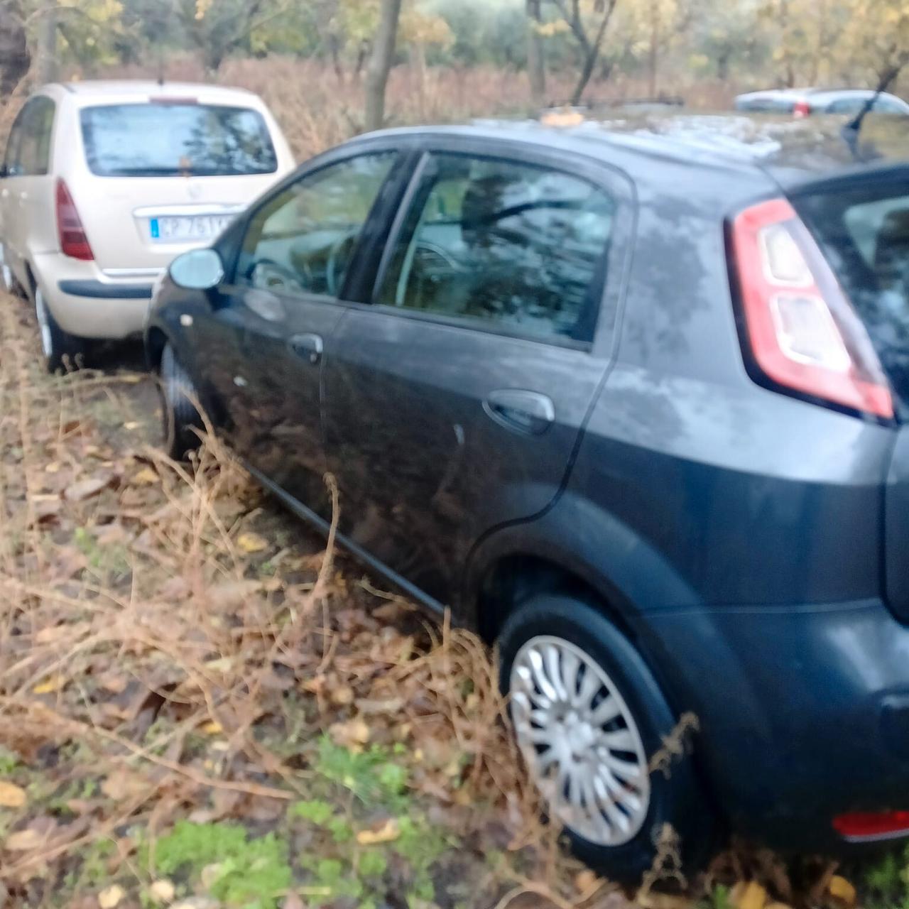 Fiat Punto Evo Punto Evo 1.3 Mjt 75 CV 5 porte Dynamic