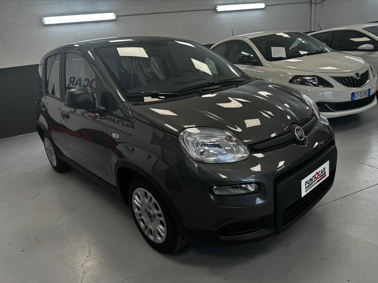 Fiat Panda 1.2 EasyPower PROMO FIN. ROTT.