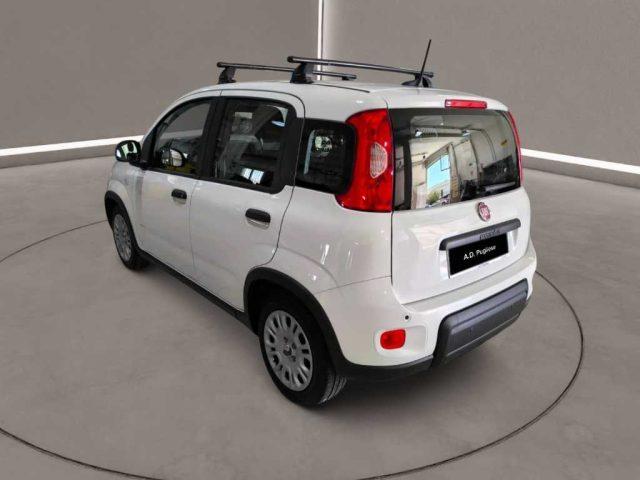 FIAT Panda 3ª serie - 1.0 FireFly S&S Hybrid