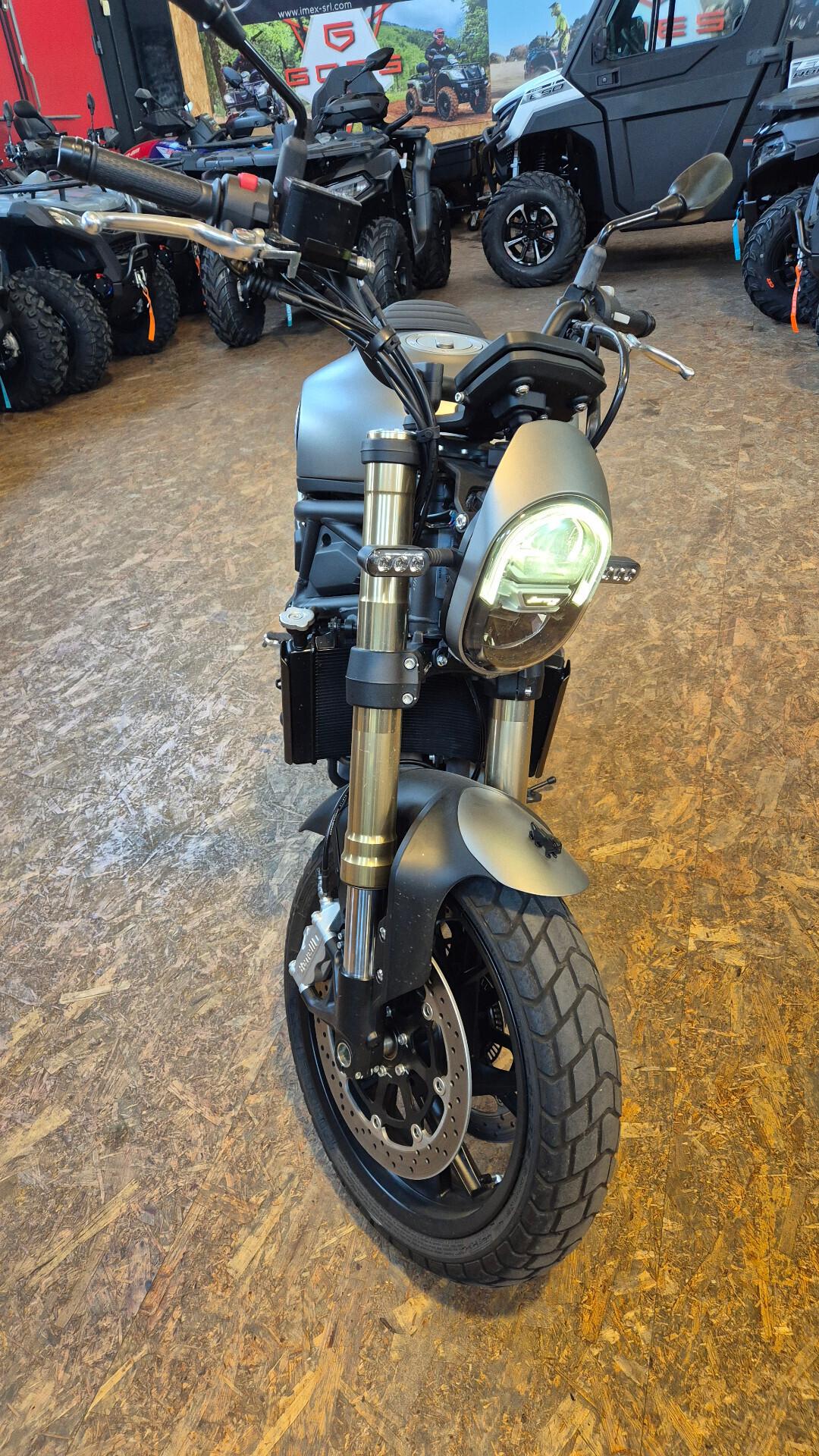 Benelli Leoncino 800 - 3200Km - GUARDA - AFFARE