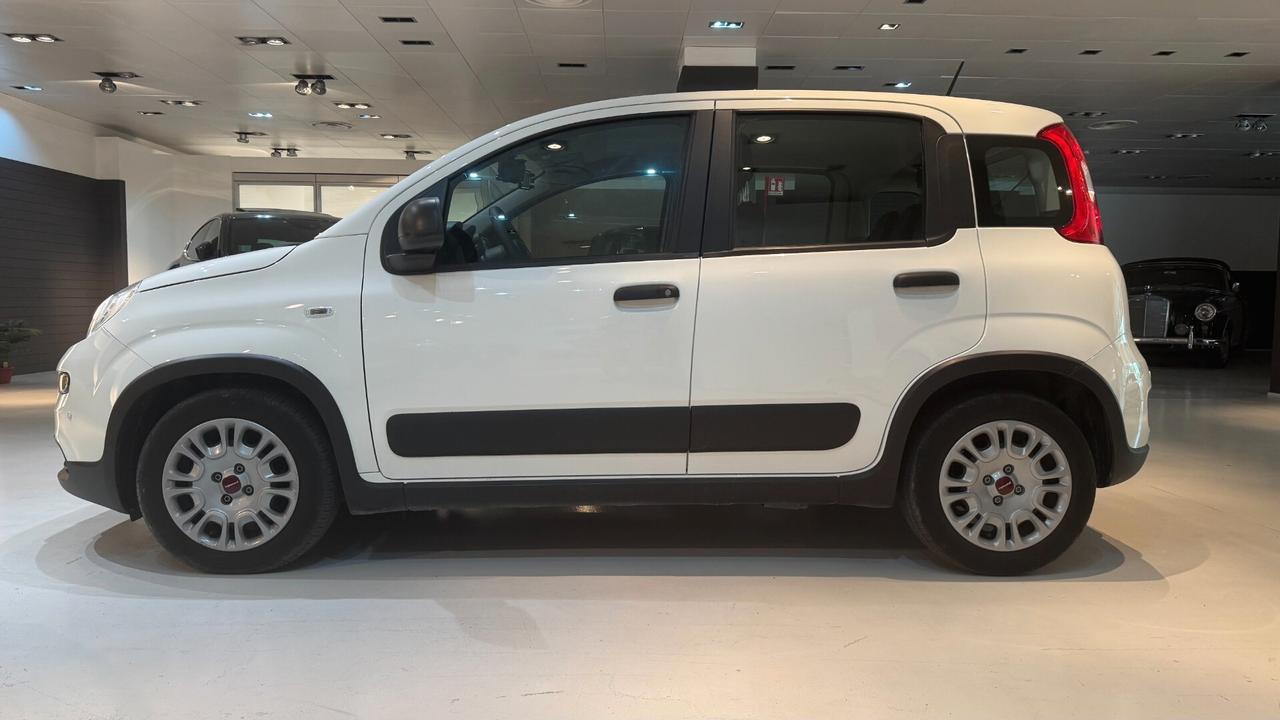 FIAT PANDA 1.0 70CV - 2023
