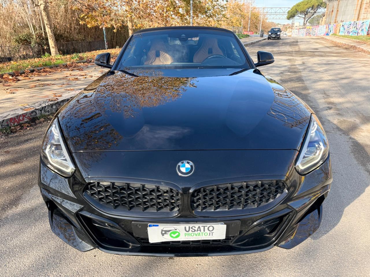 Bmw Z4 30i 258cv Msport Tagliandi BMW