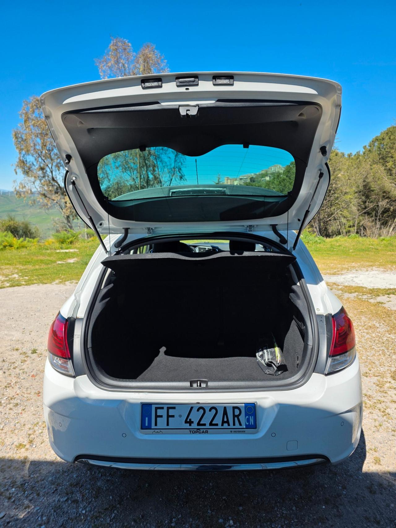 Citroen C4 BlueHDi 100 Business Combi