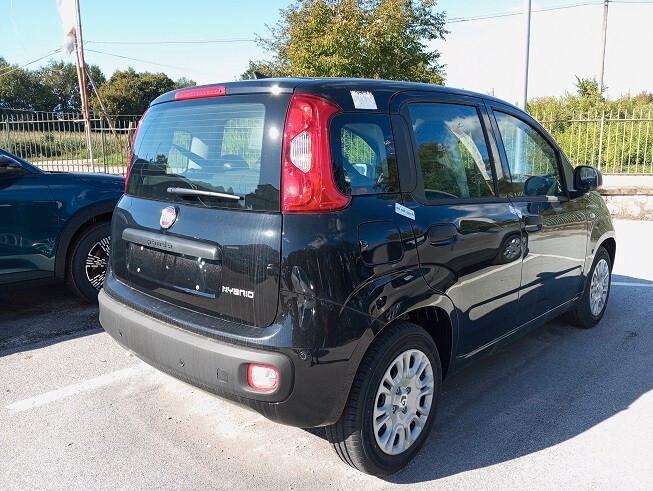 Fiat Panda 1.0 FireFly S&S Hybrid Pandina