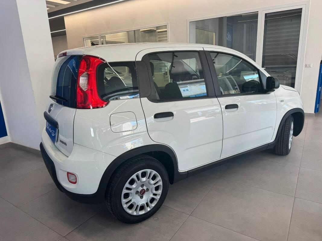 Fiat Panda III 1.0 firefly hybrid City Life s&s 70cv