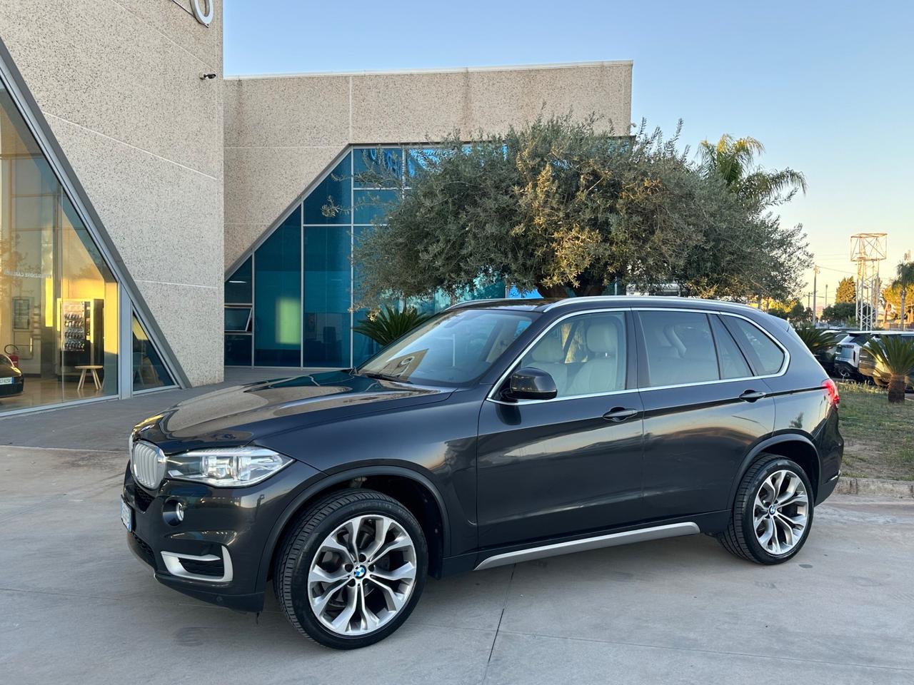 BMW X5 xdrive25d 231cv auto