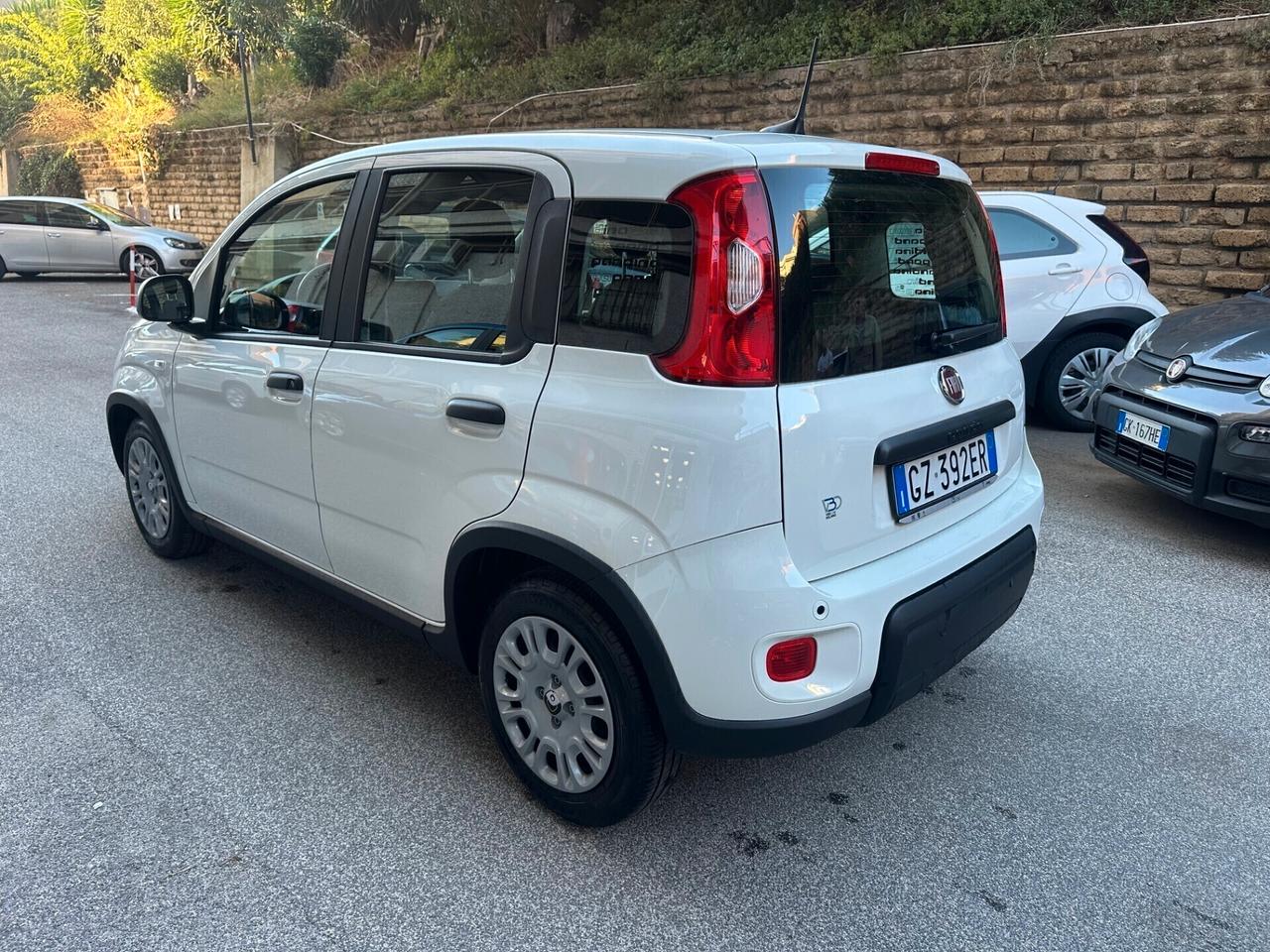 Fiat Panda Pandina 1.0 HY Icon 03/25 KM.17931