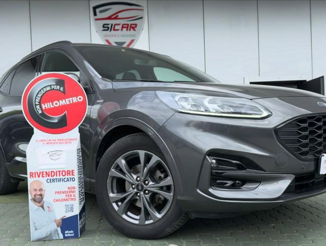 FORD Kuga 1.5 EcoBlue 120 CV aut. 2WD ST-Line X