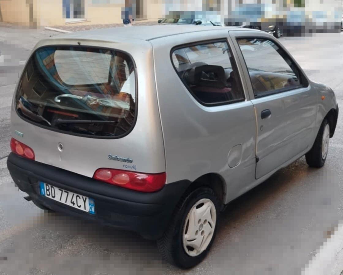 Fiat Seicento 900i cat Young