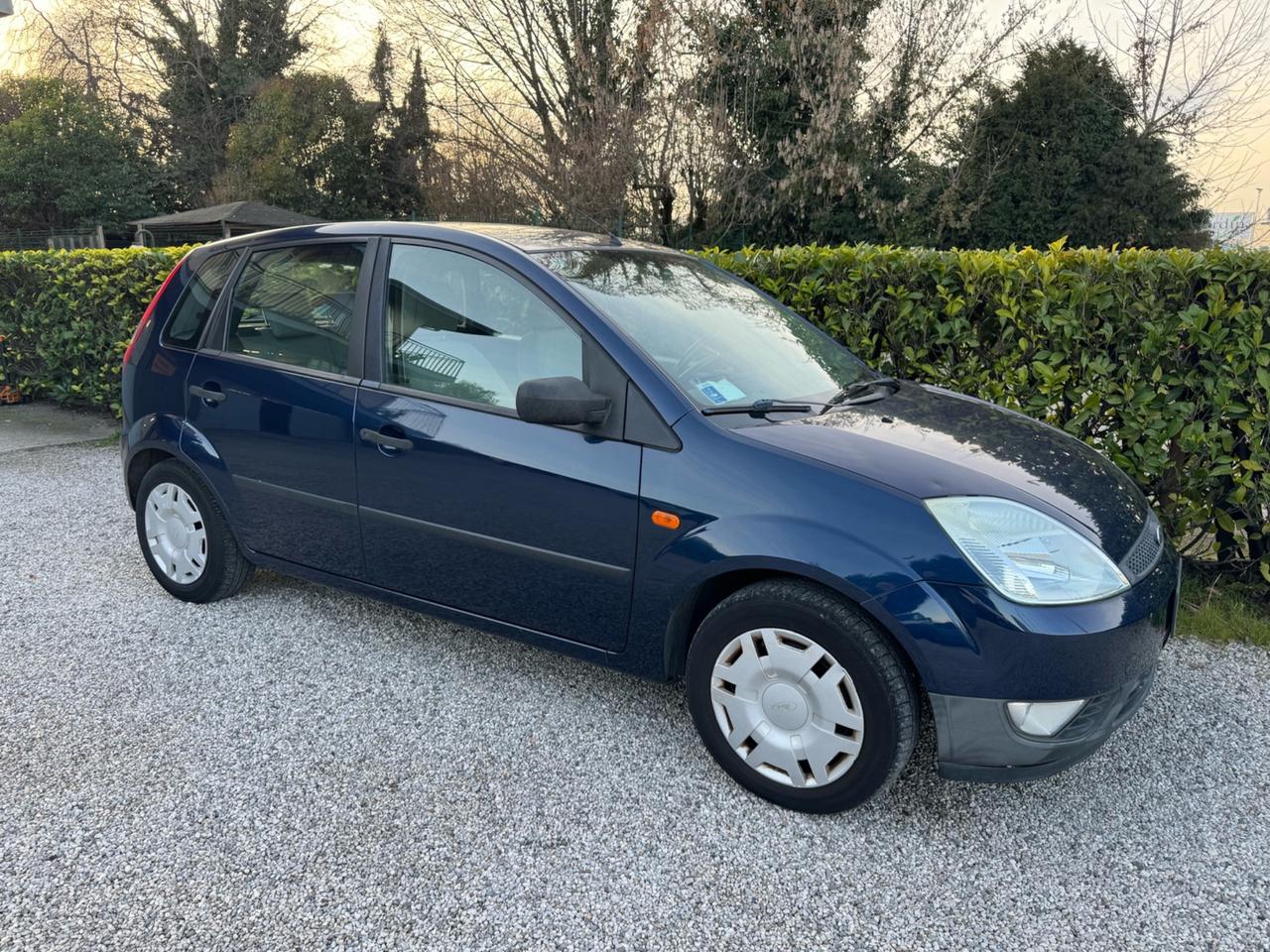 Ford Fiesta 1.2 75cv - NEOPATENTATI