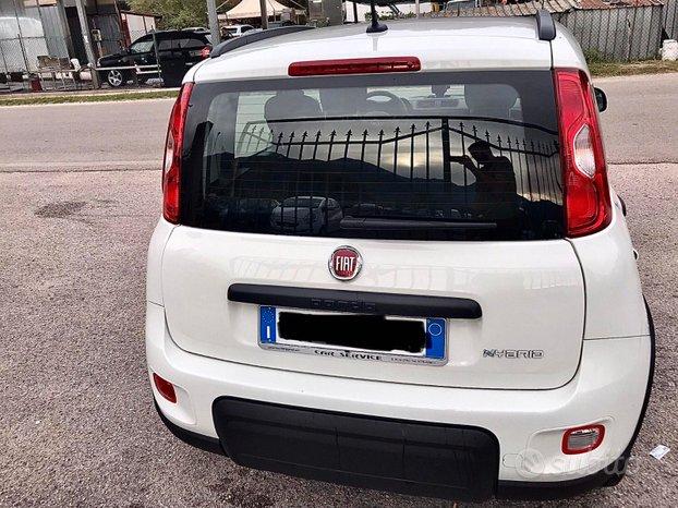 FIAT Panda HYBRID NOLEGGIO