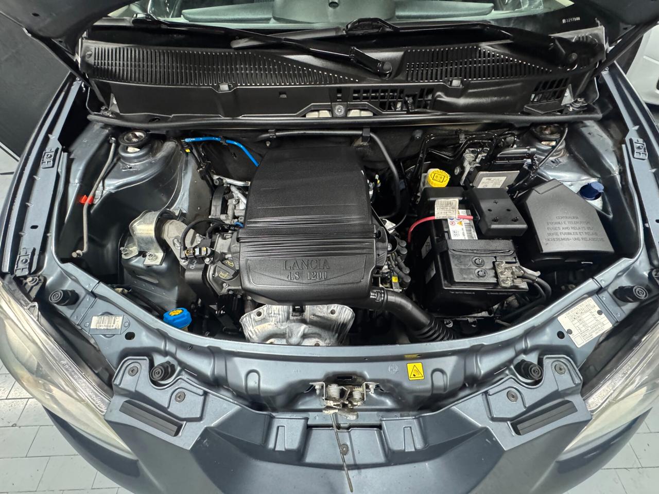 Lancia Ypsilon 1.2 Oro Neopatentati