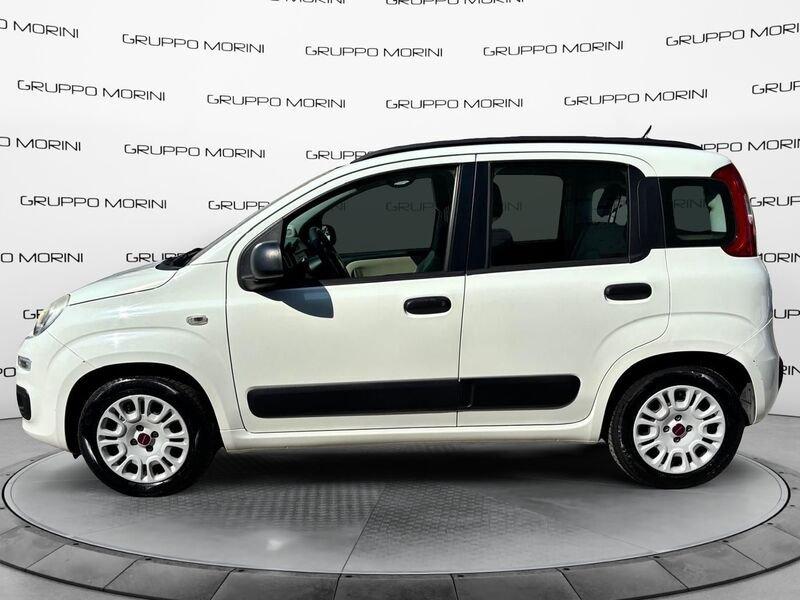 FIAT Panda 1.2 69cv EasyPower Pop