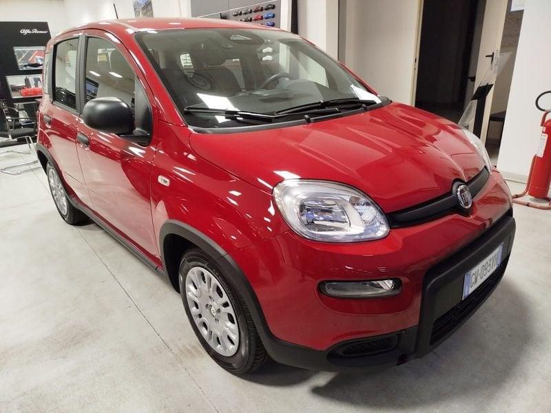 FIAT Panda 1.0 FireFly S&S Hybrid Pandina